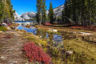 Shore of Tenaya Lake-4834.jpg Shore of Tenaya Lake-4834.jpg